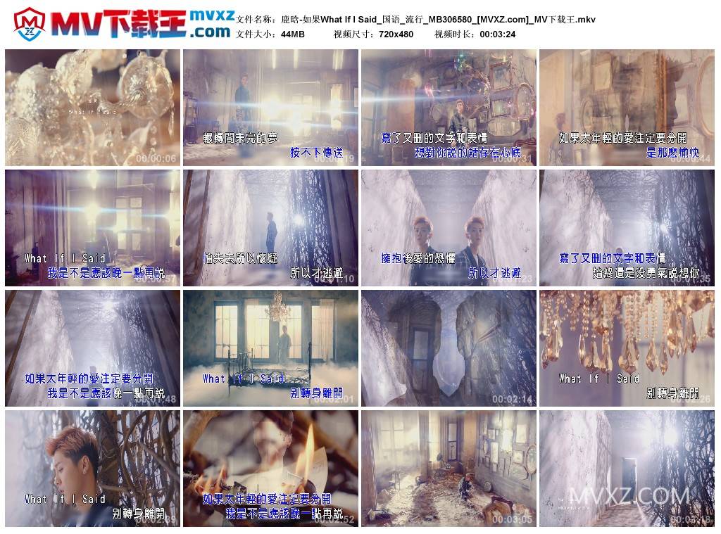 鹿晗-如果What If I Said_国语_流行_MB306580